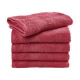 Rhine Guest Towel 30x50 cm ( TO3509 )