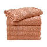 Rhine Guest Towel 30x50 cm ( TO3509 )