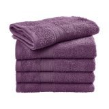 Rhine Guest Towel 30x50 cm ( TO3509 )
