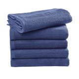 Ebro Guest Towel 30x50cm ( TO4001 )
