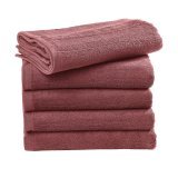 Ebro Beach Towel 100x180cm ( TO4004 )