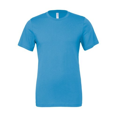 Unisex Jersey Short Sleeve Tee ( 3001 )