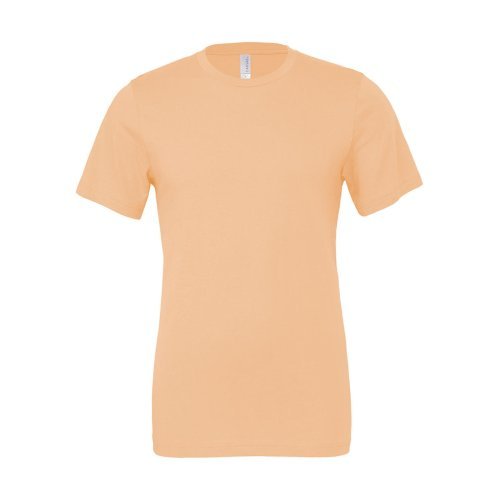 Unisex Jersey Short Sleeve Tee ( 3001 )