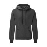 Classic Hooded Sweat ( 62-208-0 )