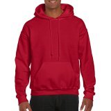 DryBlend Adult Hooded Sweat ( 12500 )