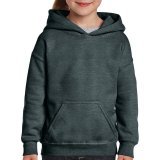 Heavy Blend Youth Hooded Sweat ( 18500B )