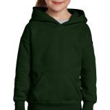 Heavy Blend Youth Hooded Sweat ( 18500B )
