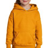 Heavy Blend Youth Hooded Sweat ( 18500B )
