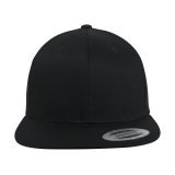 Organic Cotton Snapback ( 6089OC )