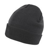Lightweight Thinsulate Hat ( RC133X )