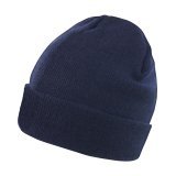 Lightweight Thinsulate Hat ( RC133X )