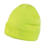 Lightweight Thinsulate Hat ( RC133X )