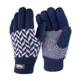 Pattern Thinsulate Glove ( R365X )