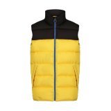 Vintage Puffer Vest ( TRA891 )