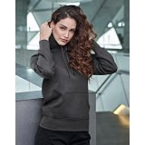 Ladies` Hooded Sweat ( 5431 )